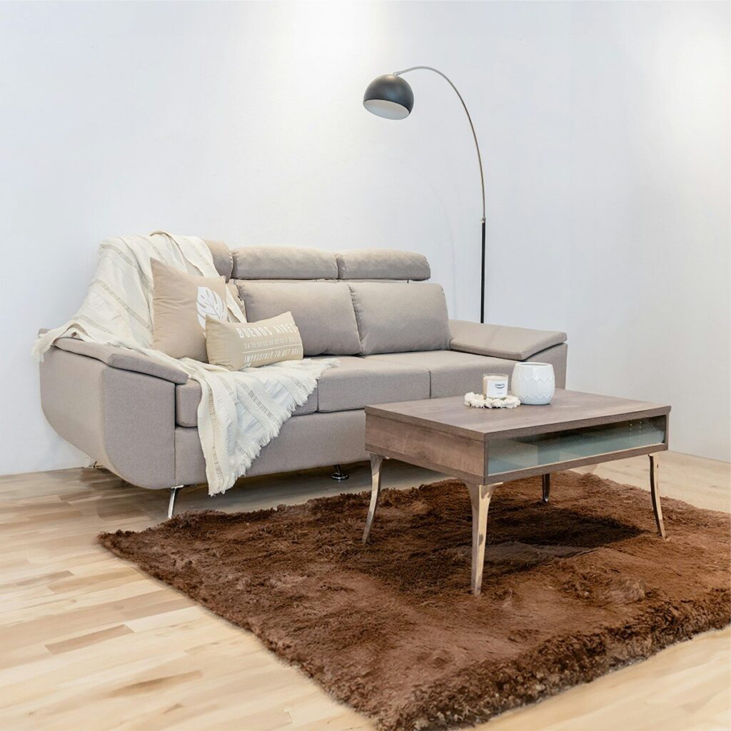 Modern living room with sofa, coffee table, and rug.